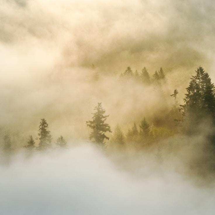 Nature travel hero image